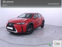 Usado Lexus UX 250h Business Edition 184 CV (135 kW) 2022 Rojo SUV