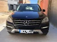 Usado Mercedes ML250 204 CV (150 kW) 2013 Azul SUV