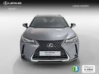 Usado Lexus UX 250h 184 CV (135 kW) 2021 Gris SUV