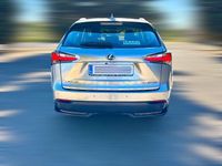 Usado Lexus NX300h Executive Line 197 CV (144 kW) 2015 Beige SUV