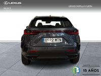 Usado Lexus NX350h 242 CV (177 kW) 2024 Gris SUV