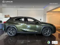 Usado Lexus UX Business Edition 184 CV (135 kW) 2022 Verde SUV