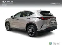 Usado Lexus NX350h Business Edition 242 CV (177 kW) 2022 Gris SUV