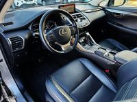 usado Lexus NX300h Executive Navigation 4WD 145 kW (197 CV)