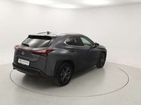 usado Lexus UX 250h 2.0 PREMIUM AUTO 184 5P MOD.2023