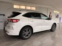 Usado Ford Kuga ST-Line 225 CV (165 kW) 2023 Blanco platino (especial) SUV