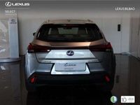 usado Lexus UX 250h Business 2WD