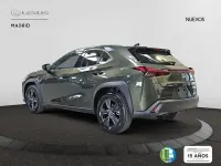 Nuevo Lexus UX 300h 199 CV (146 kW) 2026 Verde SUV