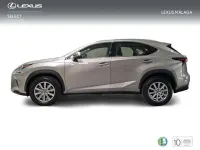 Usado Lexus NX300h Business Edition 197 CV (144 kW) 2021 Gris SUV