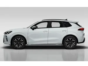 Begagnad Cupra Terramar