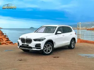 Occasion BMW X5