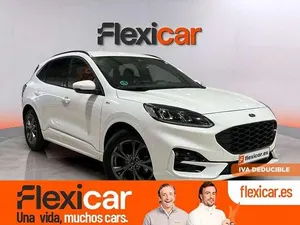 Używany Ford Kuga