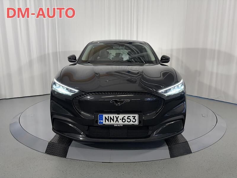 Käytetty Ford Mustang 269 HP (197 kW) 2022 Harmaa Viistoperä