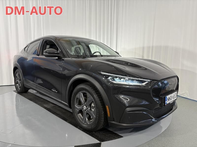 Käytetty Ford Mustang 269 HP (197 kW) 2022 Harmaa Viistoperä