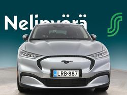 Harmaa Käytetty 2021 Ford Mustang Mach-E Katumaasturi | 28 800 € (Perustarjous)