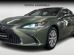 Vihreä Käytetty 2019 Lexus ES300H Executive Line Sedan | 34 900 € (Perustarjous)
