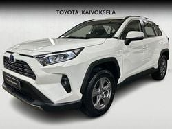 Valkoinen Käytetty 2024 Toyota RAV4 Edition Katumaasturi | 38 990 € (Hyvä tarjous)