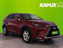 Rosso Usata 2021 Lexus NX300h Executive Line SUV | 35 790 € (Buon prezzo)