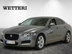 Harmaa Käytetty 2018 Jaguar XF Prestige Sedan | 20 200 €