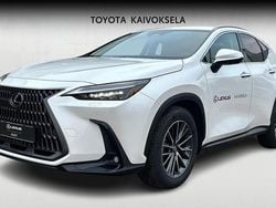Valkoinen Käytetty 2025 Lexus NX450h+ Executive Line Katumaasturi | 67 900 € (Kallis)