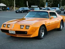 Keltainen Käytetty 1981 Pontiac Firebird Coupe - kaksiovinen | 26 900 €