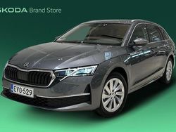 Käytetty 2025 Skoda Octavia Style Farmari | 40 700 €