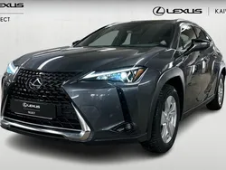Harmaa Käytetty 2023 Lexus UX 250h Business Edition Katumaasturi | 36 990 € (Hyvä tarjous)