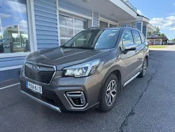 Ruskea Käytetty 2020 Subaru Forester Active Katumaasturi | 28 900 € (Perustarjous)