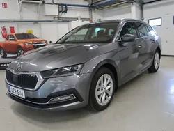 Harmaa Käytetty 2023 Skoda Octavia Style Farmari | 38 900 €
