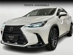 Valkoinen Käytetty 2024 Lexus NX450h+ Executive Line Katumaasturi | 62 990 € (Hieman kallis)