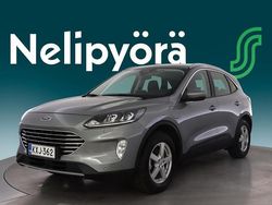 Harmaa Käytetty 2021 Ford Kuga Titanium Katumaasturi | 21 900 € (Perustarjous)