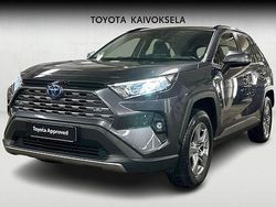 Harmaa Käytetty 2024 Toyota RAV4 Edition Katumaasturi | 39 990 € (Hyvä tarjous)
