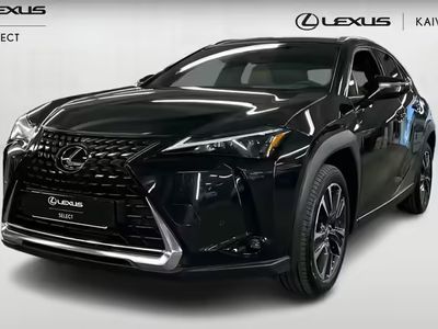 Lexus UX 250h