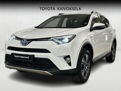 Käytetty Toyota RAV4 Hybrid Active 155 HP (114 kW) 2016 Valkoinen Katumaasturi