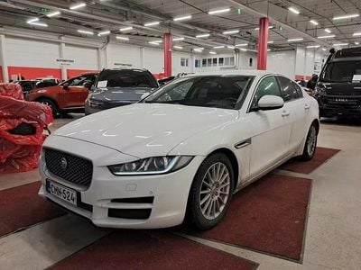 Käytetty 2019 Jaguar XE Business Edition Sedan | 13 990 €