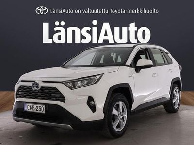 Käytetty Toyota RAV4 Hybrid Business Edition 222 HP (163 kW) 2019 Valkoinen Katumaasturi