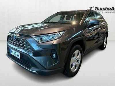 Käytetty Toyota RAV4 Edition 176 HP (129 kW) 2023 Harmaa Katumaasturi
