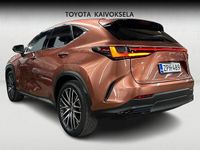 Käytetty Lexus NX450h+ Luxury Line 306 HP (225 kW) 2025 Ruskea Katumaasturi