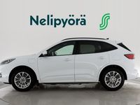 käytetty Ford Kuga 2,5 Ladattava hybridi (PHEV) 225hv CVT FWD ST-Line X 5-ovinen - **Merkkihuollettu, vetokoukku**