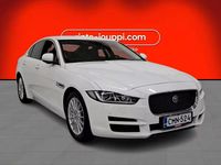 Käytetty Jaguar XE Business Edition 163 HP (119 kW) 2019 Sedan
