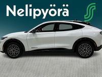 Käytetty Ford Mustang Mach-E Premium 216 kW (294 HP) 2024 Katumaasturi