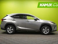 Käytetty Lexus NX300h Executive Line 197 HP (144 kW) 2019 Hopea / harmaa Katumaasturi