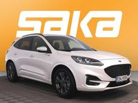 Käytetty Ford Kuga ST-Line 224 HP (164 kW) 2021 Katumaasturi