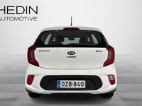 Käytetty Kia Picanto LX 67 HP (49 kW) 2020 Valkoinen Viistoperä