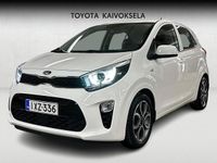 Käytetty Kia Picanto EX 84 HP (61 kW) 2021 Valkoinen Viistoperä