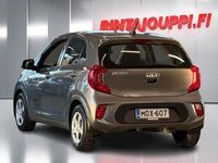Käytetty Kia Picanto EX 67 HP (49 kW) 2024 Viistoperä