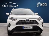 Käytetty Toyota RAV4 Hybrid Edition 178 HP (130 kW) 2023 Valkoinen Katumaasturi