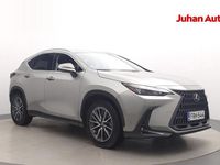 Käytetty Lexus NX450h+ Business Edition 306 HP (225 kW) 2023 Hopea Katumaasturi