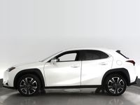 käytetty Lexus UX 250h Business