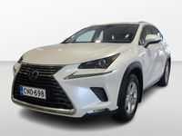 Käytetty Lexus NX300h Executive Line 155 HP (114 kW) 2019 Valkoinen Katumaasturi